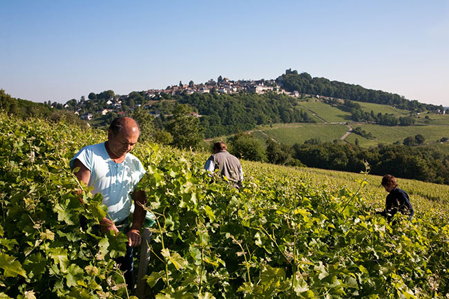 le-domaine